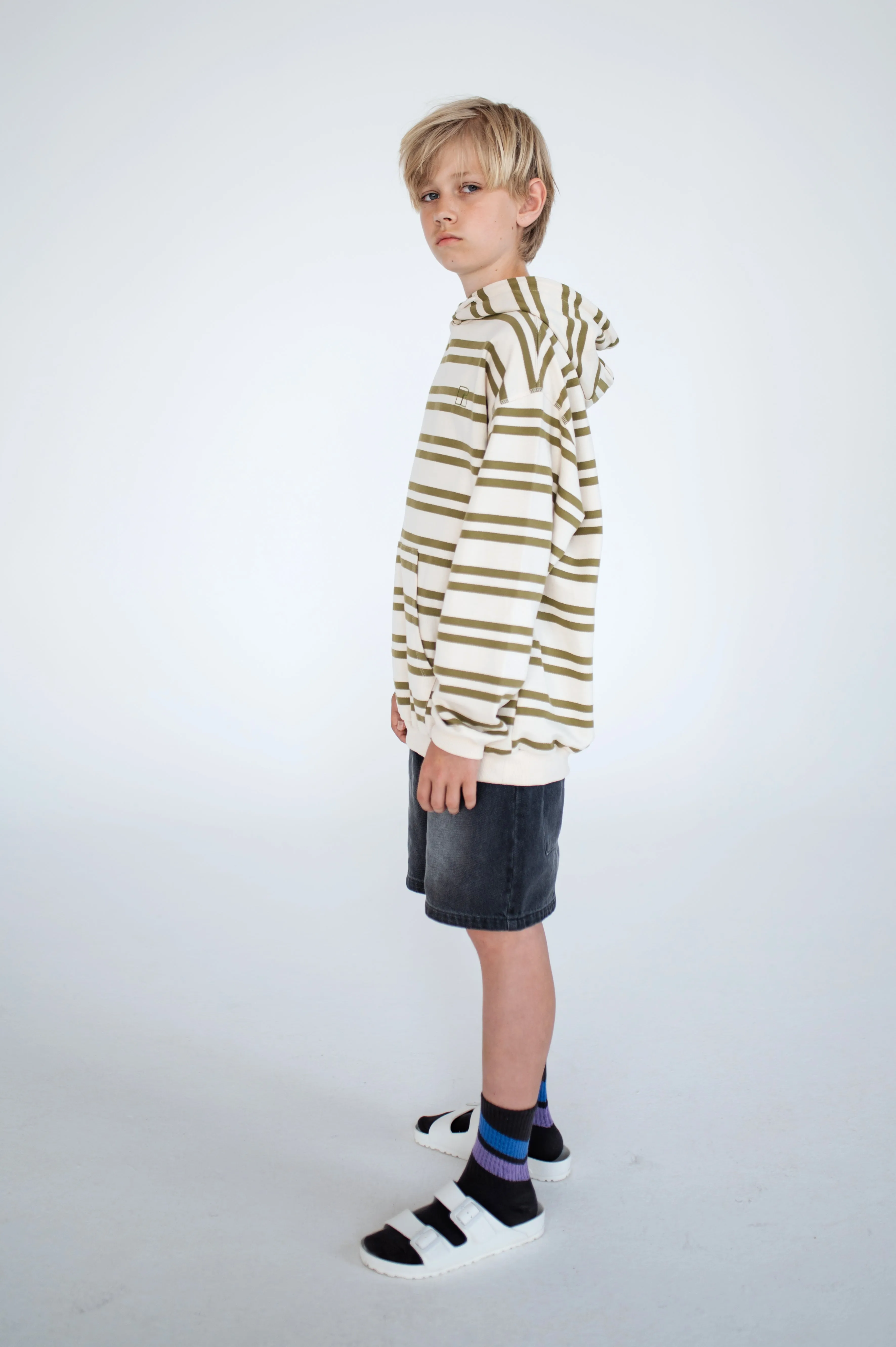 hoodie - green moss stripe